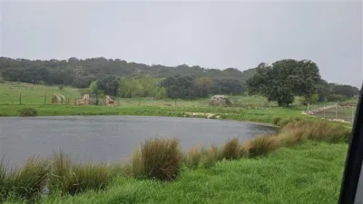 House in Zafarraya photo 6