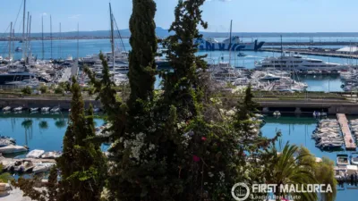 Apartment in La Bonanova-Porto Pi photo 19