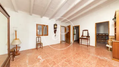 House in Binissalem photo 18