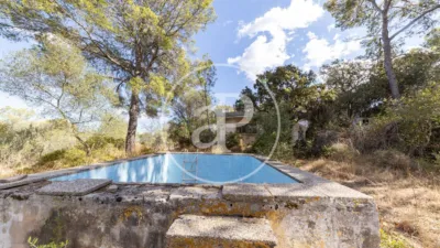 House in Binissalem photo 21