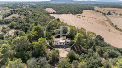House in Binissalem photo 20