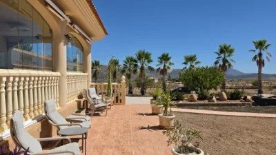 Villa in El Pinós - Pinoso photo 4