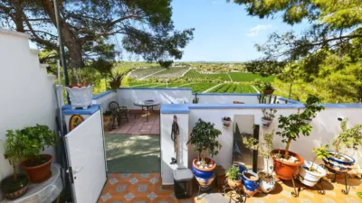 Chalet en Pinar de Campoverde photo 25