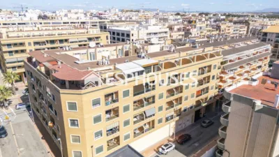 Apartment in Guardamar del Segura photo 17