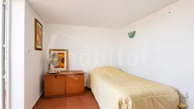 House in Algorfa photo 40