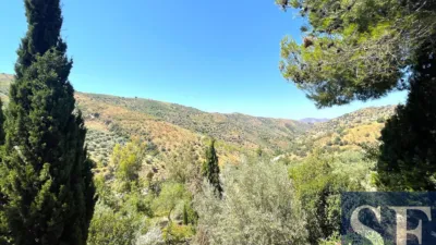 House in Canillas de Albaida photo 20