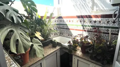 Apartment in Canillas de Aceituno photo 13