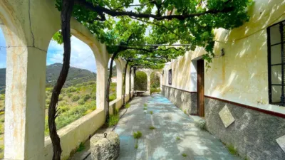 House in Canillas de Albaida photo 4