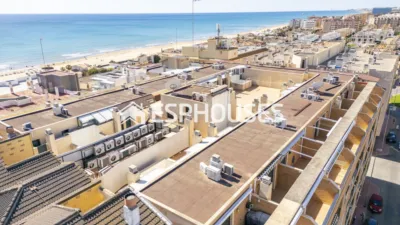 Apartment in Guardamar del Segura photo 18
