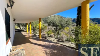 House in Canillas de Aceituno photo 3