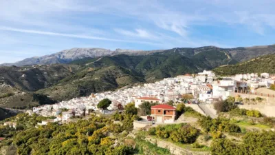 House in Canillas de Albaida photo 16