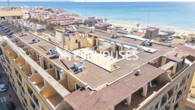 Apartment in Guardamar del Segura photo 19
