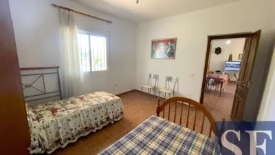 House in Canillas de Aceituno photo 13