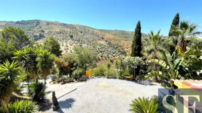 House in Canillas de Albaida photo 17