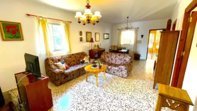 House in Algarrobo photo 4