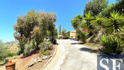 House in Canillas de Albaida photo 18