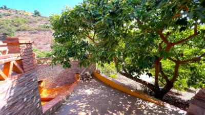 House in Algarrobo photo 17