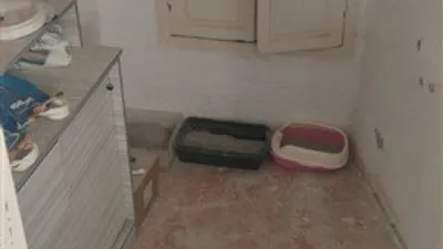 House in Torvizcón photo 5