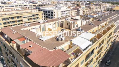 Apartment in Guardamar del Segura photo 16