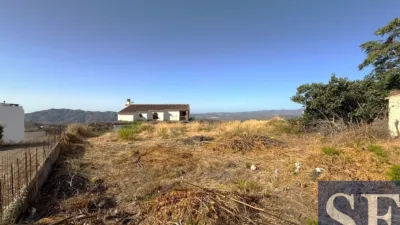 House in Canillas de Aceituno photo 15