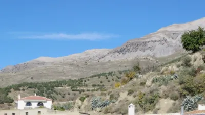 House in Sedella photo 9