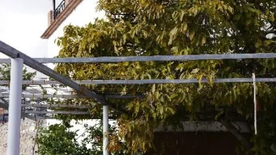 House in Canillas de Aceituno photo 10