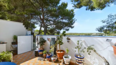 Chalet en Pinar de Campoverde photo 24