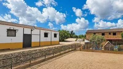 Rustic Finca in Arcos de la Frontera photo 4