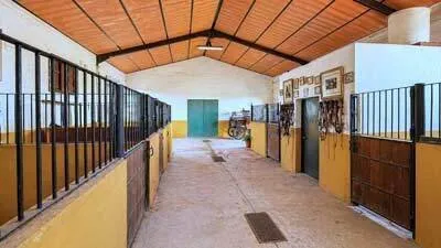 Rustic Finca in Arcos de la Frontera photo 3