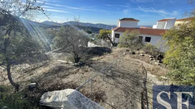 House in Canillas de Aceituno photo 6