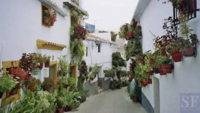 Casa en Canillas de Aceituno photo 7