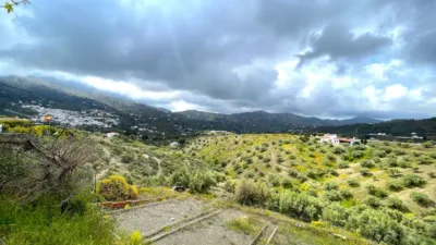 House in Canillas de Albaida photo 18