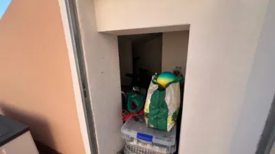 House in Algorfa photo 34