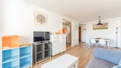 Apartment in L'Olivera photo 25