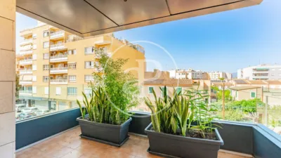 Apartment in L'Olivera photo 20