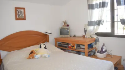 House in Guardamar del Segura photo 22