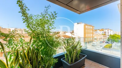 Apartment in L'Olivera photo 6