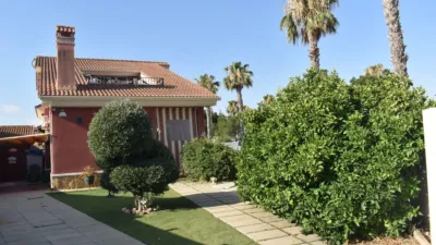 House in Guardamar del Segura photo 7