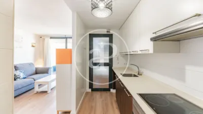 Apartment in L'Olivera photo 21