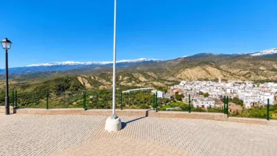 House in Alcolea photo 4