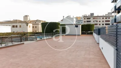 Apartment in L'Olivera photo 35