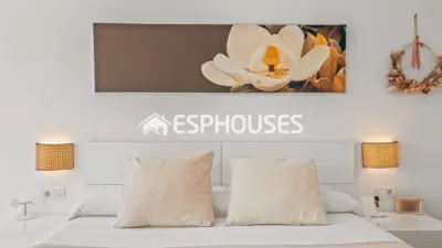 House in Centro photo 19