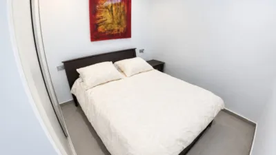 Chalet in Algorfa photo 13