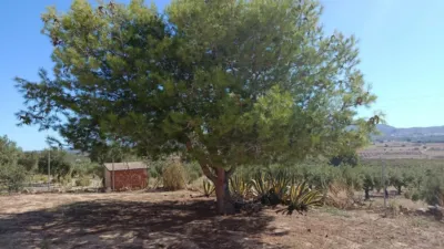 Rustic Finca in Cañada photo 17