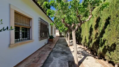House in Tibi photo 2