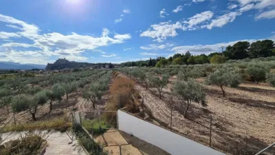 Rustic Finca in Sax photo 33