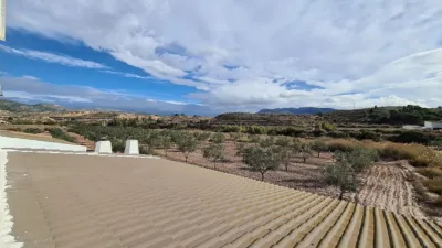 Rustic Finca in Sax photo 31