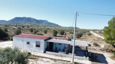 Rustic Finca in Sax photo 10
