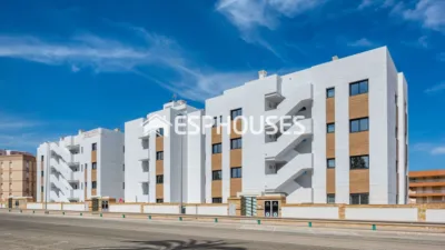 Apartamento en Guardamar del Segura photo 39