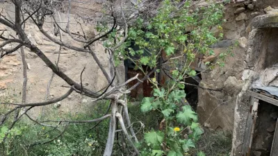 Rustic Finca in Macisvenda photo 25